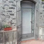 Bouganville